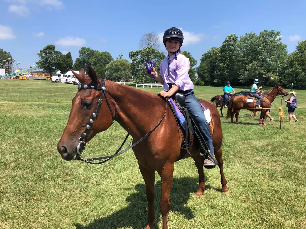 What a New 4-H Mom Learned at Our First County Fair