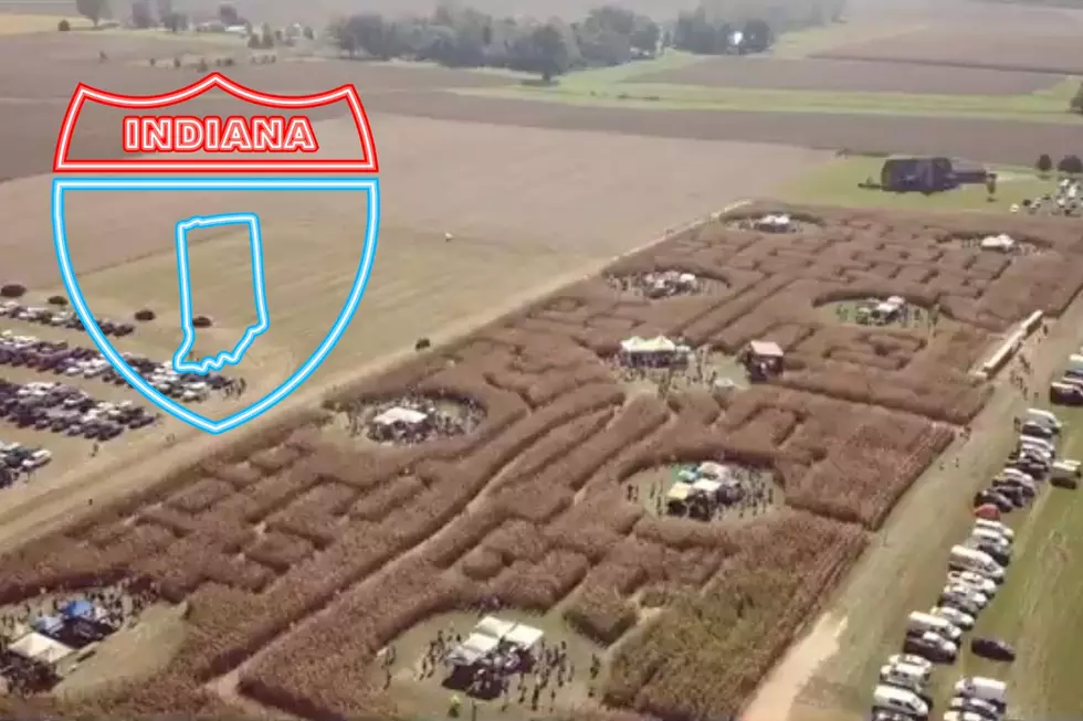 Corn Maze Beer Fest in Indiana Returns in 2022