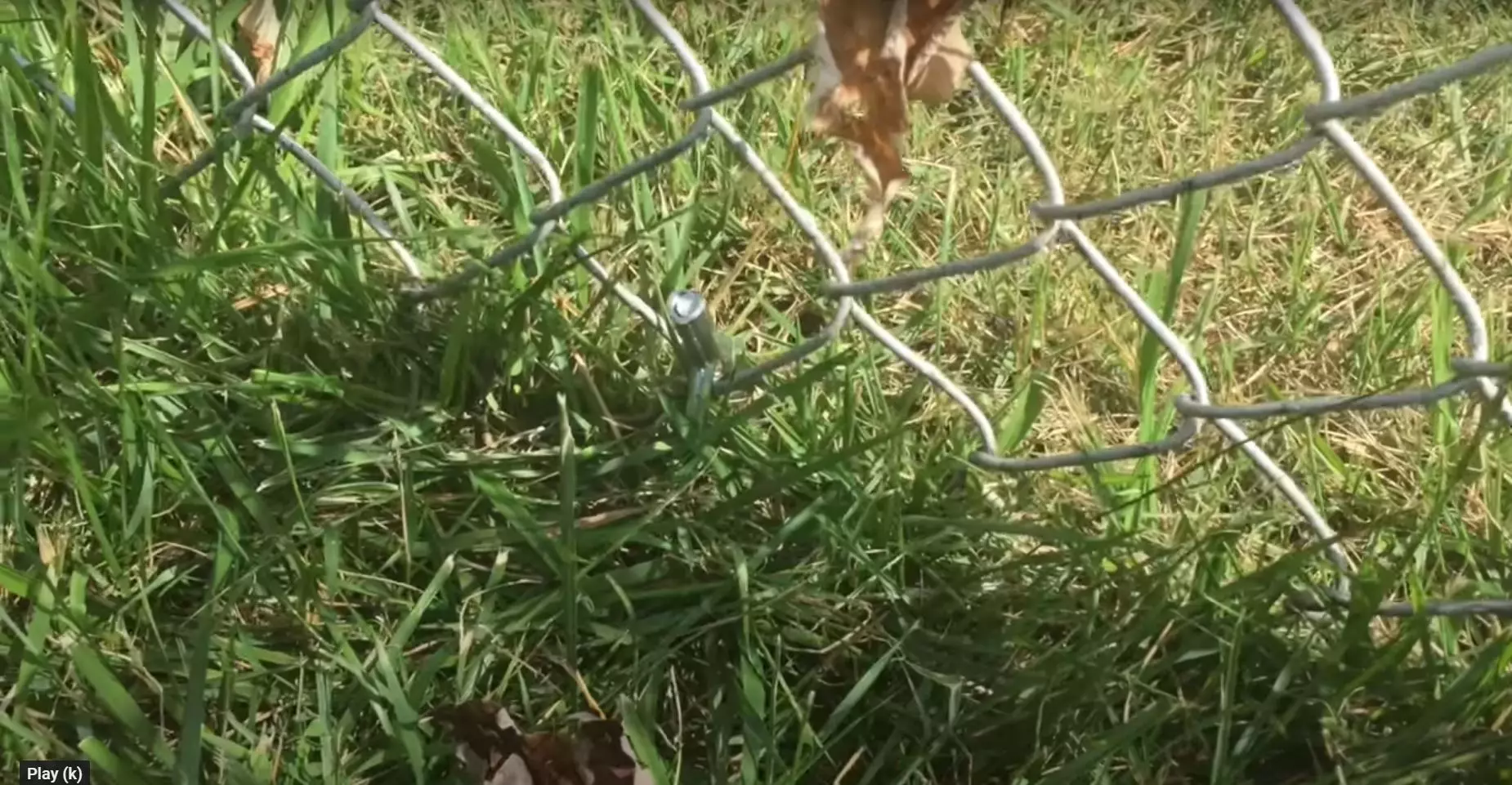 how to keep dogs from going under chain link fence