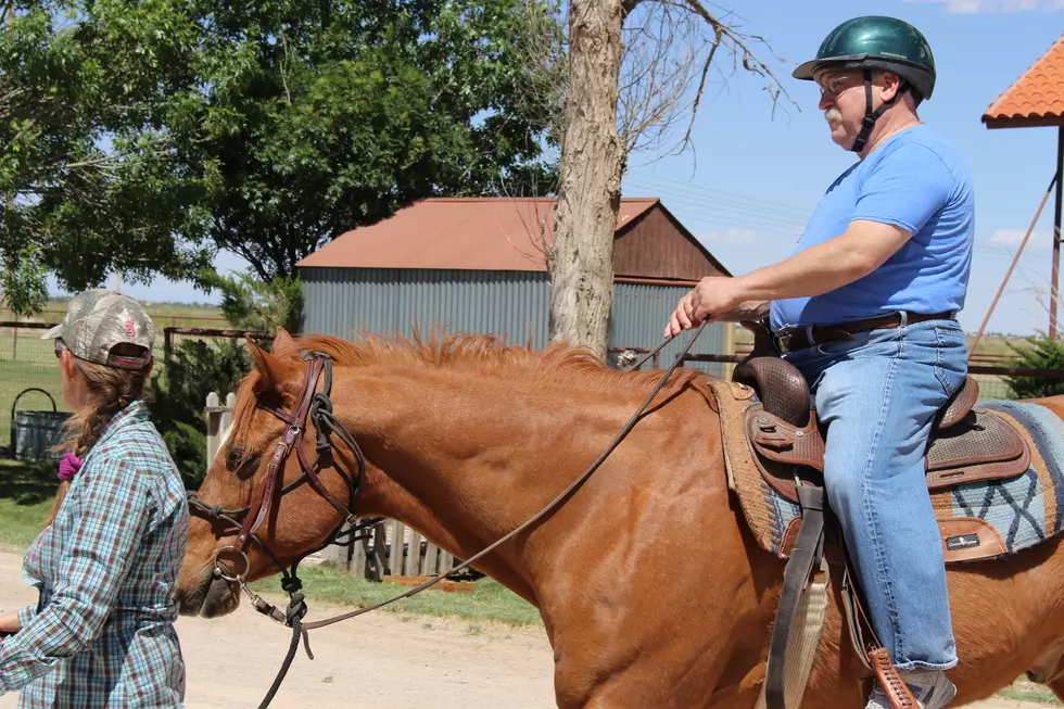 Evansville Stables Offering Free Therapeutic Horse Riding for Veterans