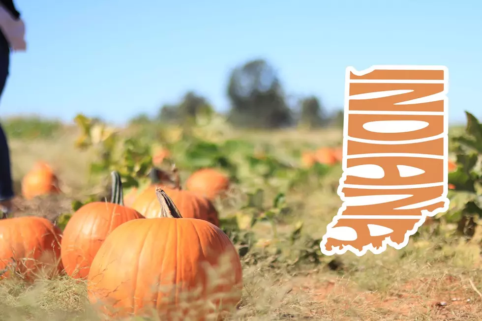 This is Indiana's Best Pumpkin Patch