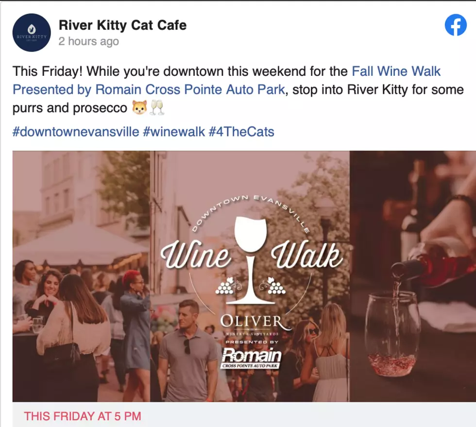 River Kitty Cat Cafe/VHS/Facebook
