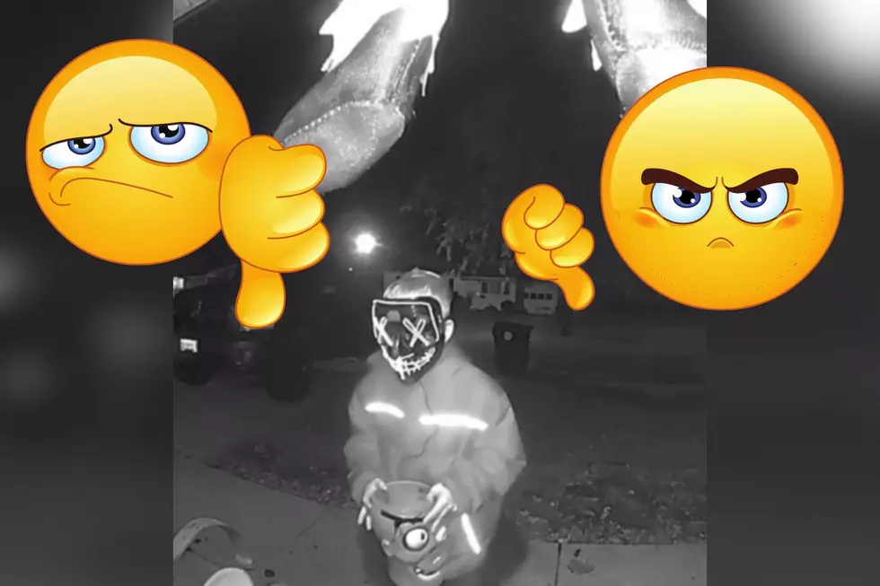 Boy Flips the Bird to Security Cam After Taking Entire Bowl of Candy from Illinois Porch [WATCH]