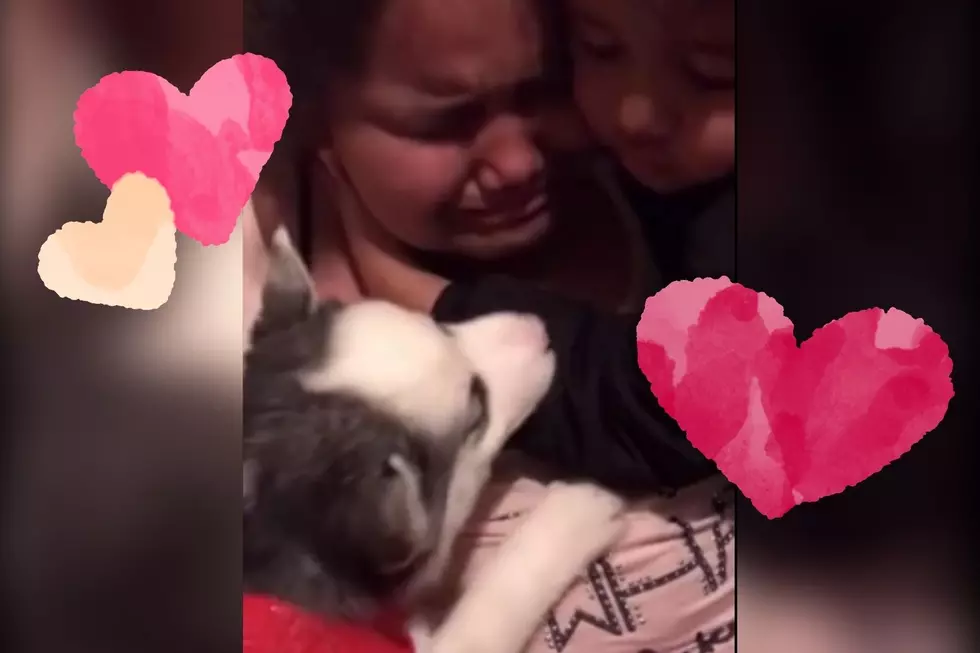Kentucky Mom Surprises Daughter with Puppy and Her Reaction Will Give You All the Feels [WATCH]