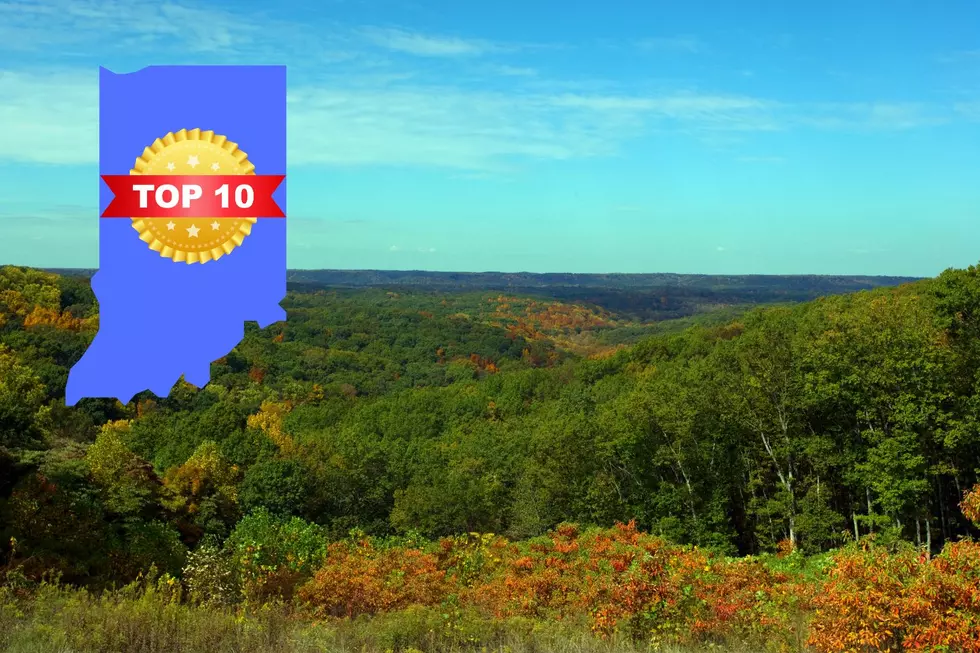One Indiana State Park Ranked in the Top 10 Most Beautiful Parks in America