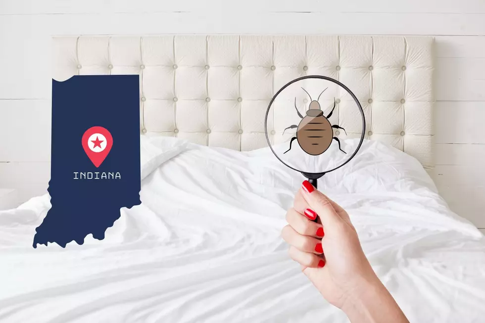 Indiana City Named One of the Cities in the U.S. with the Most Bed Bugs