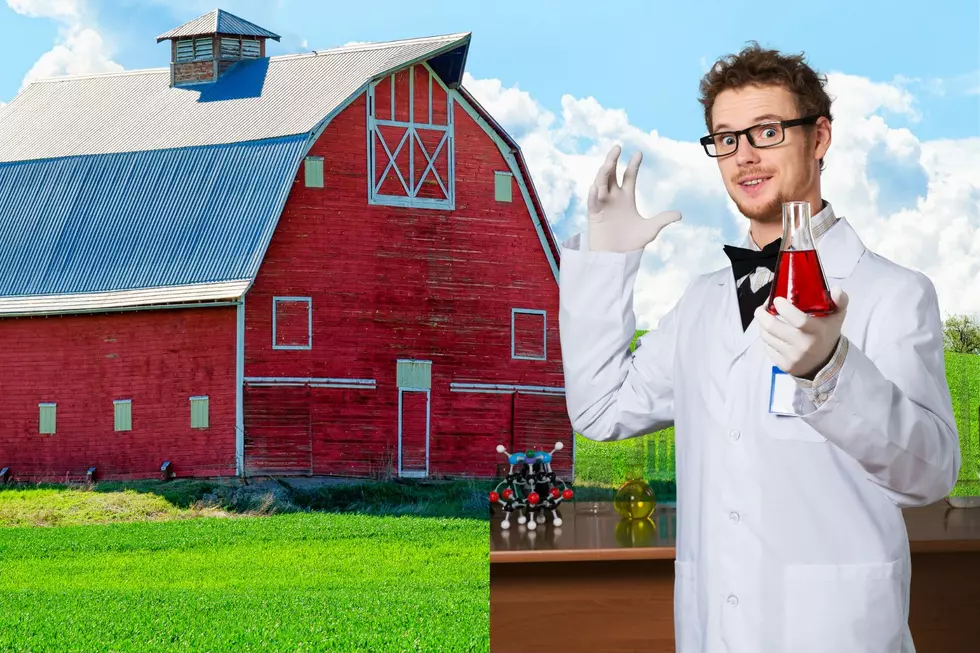 The Science Behind Why Farmers Paint Their Barns Red