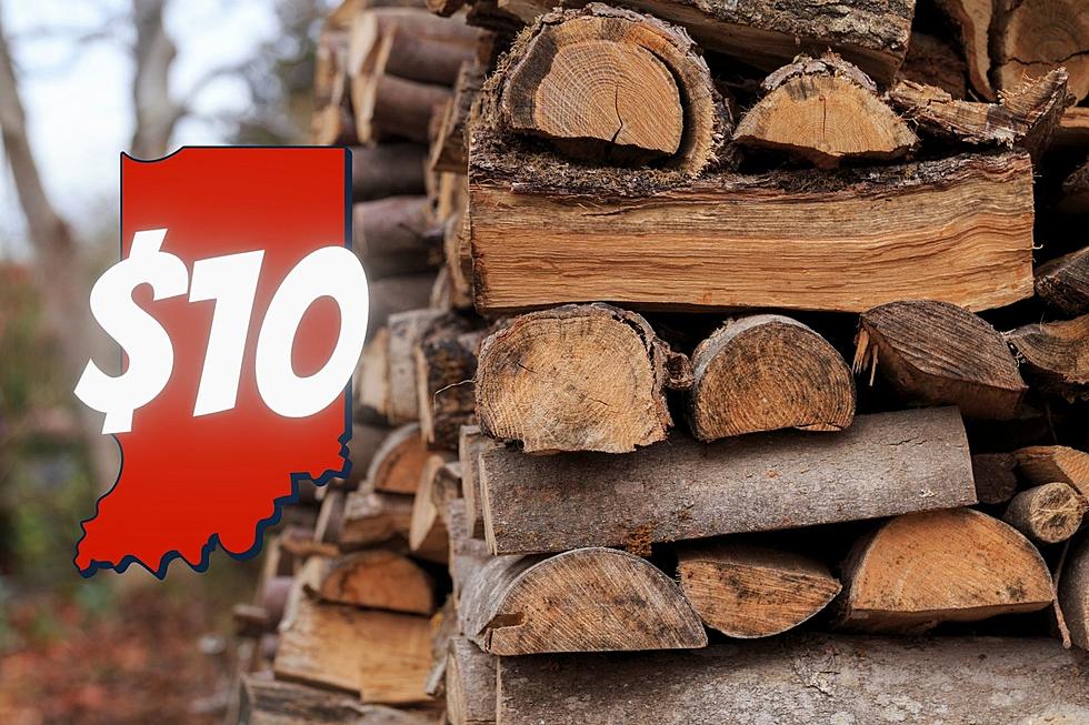 Southern Indiana State Park Offering $10 Truck Loads of Firewood