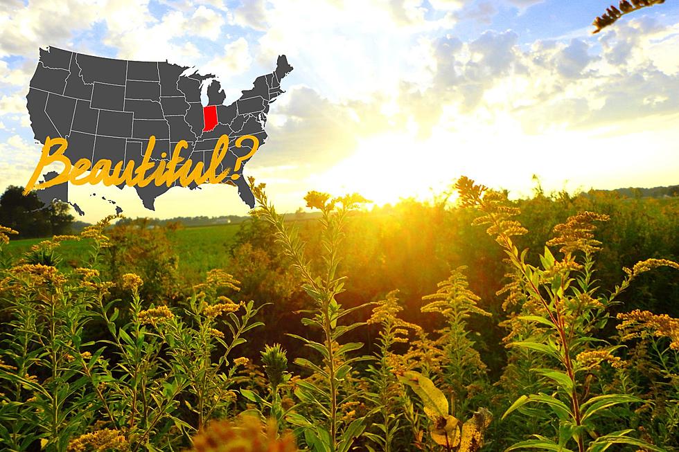 Indiana Ranks VERY Low on Most Beautiful States in America