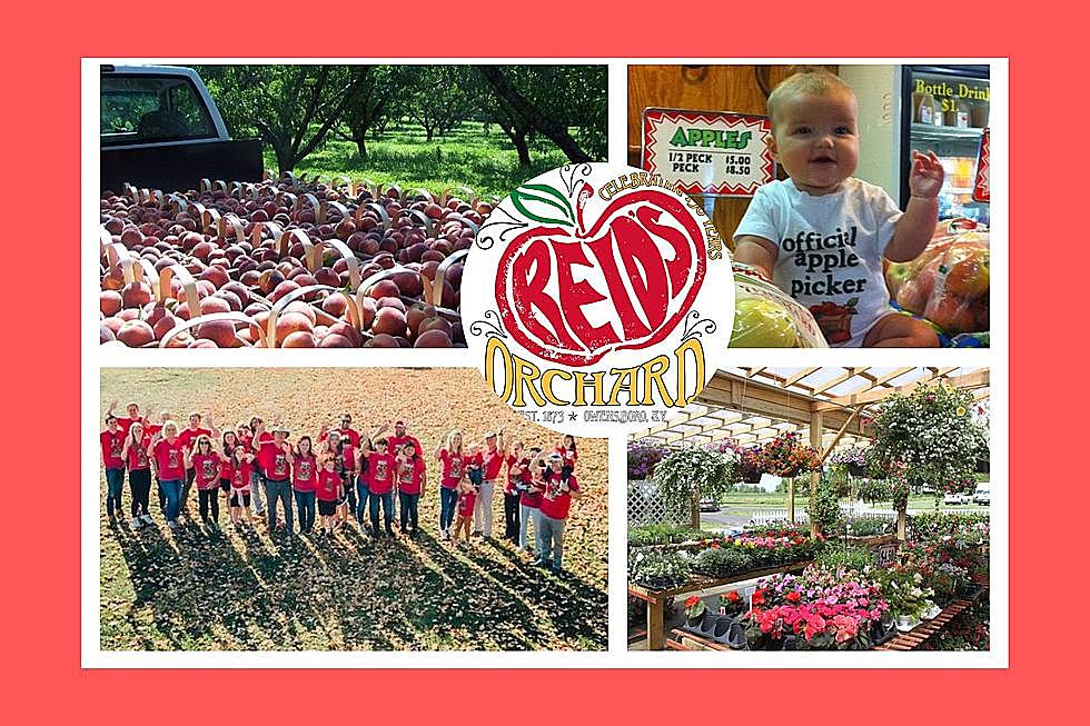 Reid&#8217;s Orchard in Owensboro Celebrating 150 Years with a Huge List of Events