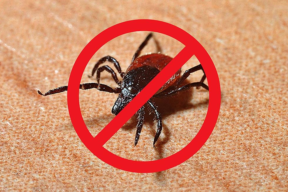 Indiana Woman Shares Brilliant Hack to Stop Ticks From Crawling Up Your Legs [PHOTO]