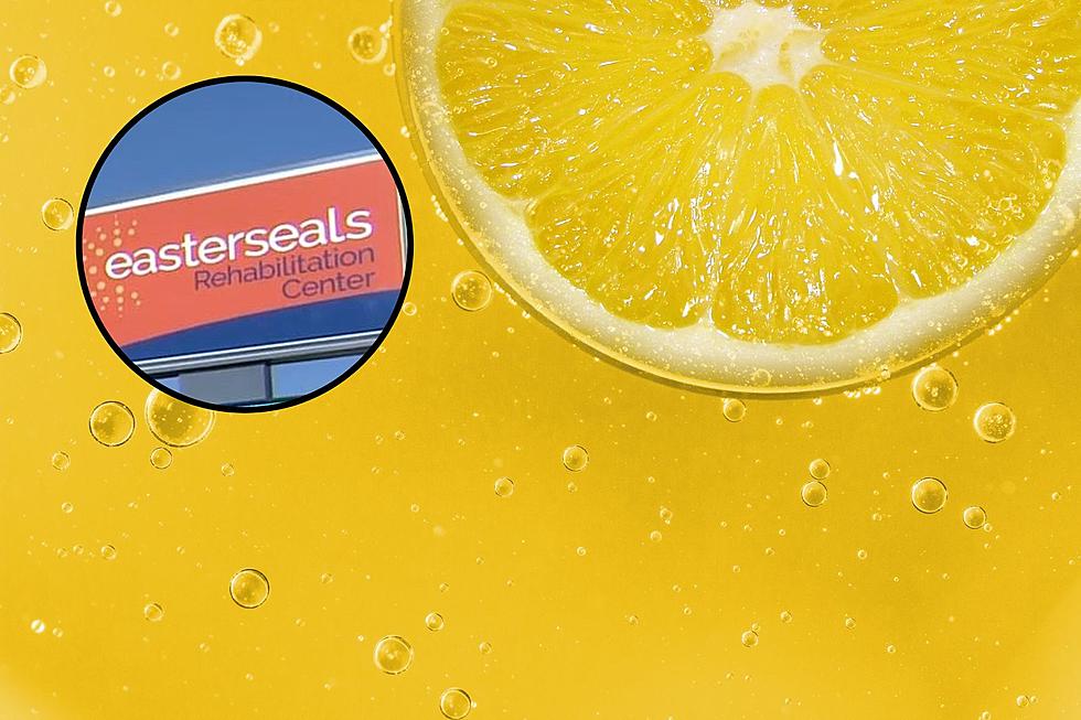 27th Annual Easterseals LemonAID Stand Fundraiser Coming June 1st