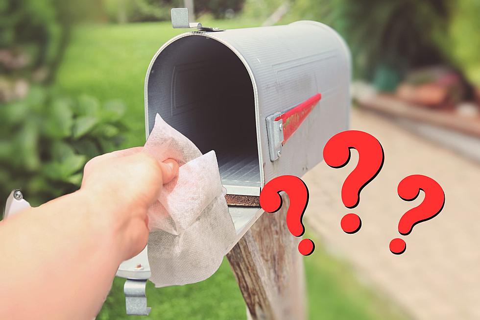 Why You Should Put a Dryer Sheet in Your Mailbox in Indiana