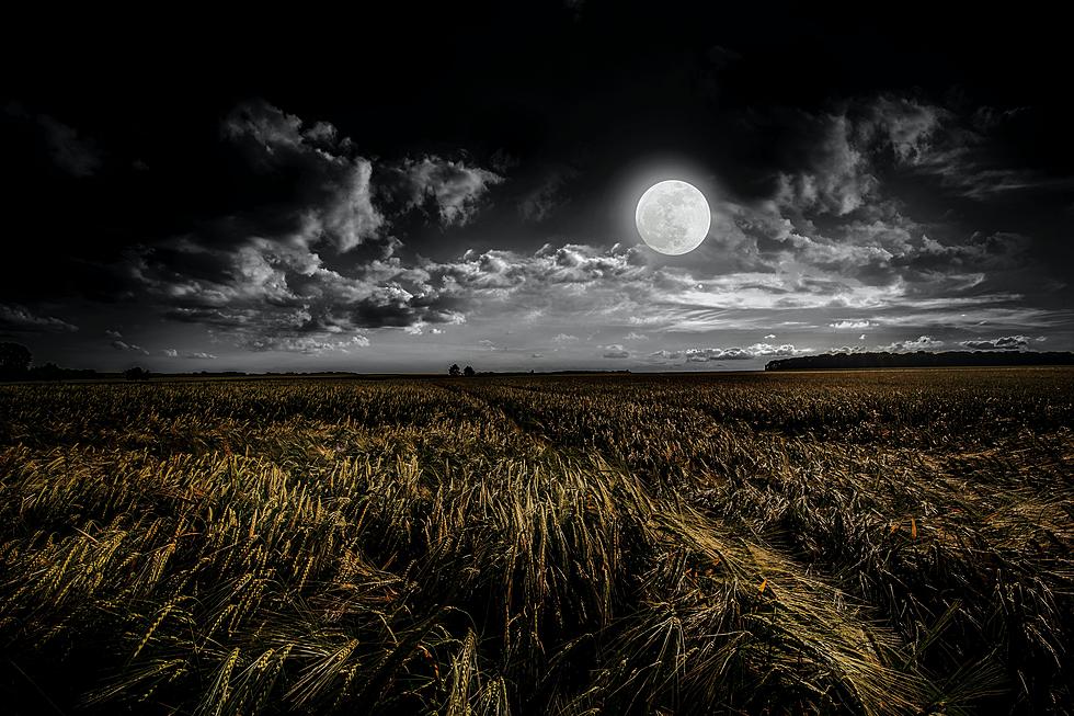 Indiana Nights: The Moon Takes Center Stage in These Mesmerizing Photographs