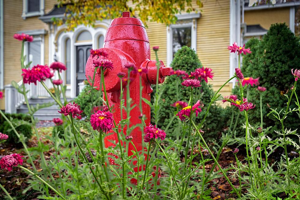 Don’t Do This if You Have a Fire Hydrant on Your Property in Indiana