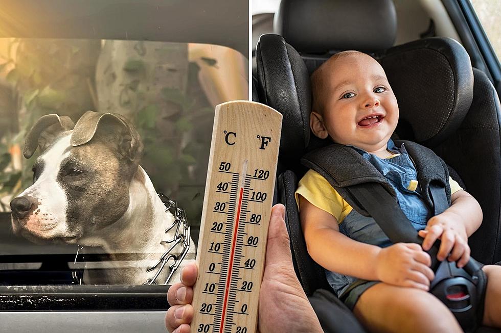 Can You Legally Break a Car Window to Save a Child or Dog From the Heat in Indiana?