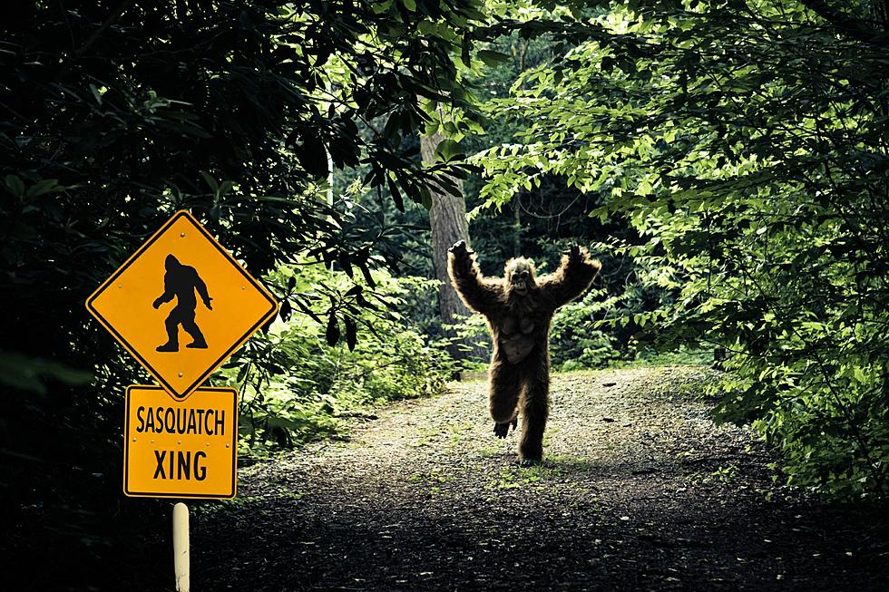 Indiana Bigfoot Research Organization Hosting Special Event for Cryptid Enthusiasts