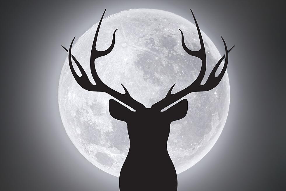 Summer’s First Full Moon is the Buck Supermoon Here’s When to See it Over Indiana and Kentucky