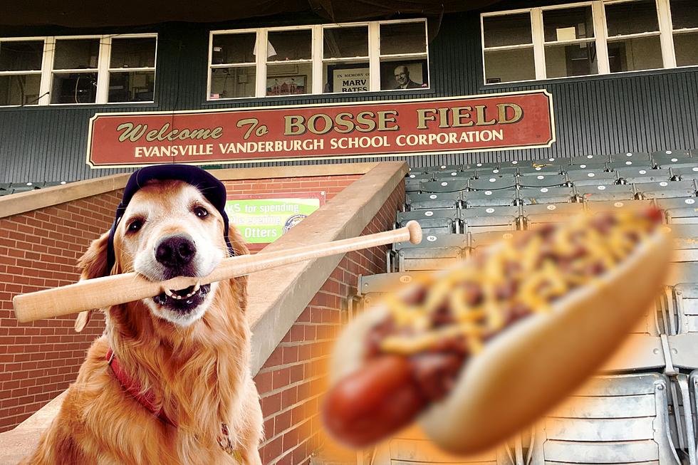 Evansville Otters Unveil the Otterdog a Homegrown Twist on the Classic Hot Dog