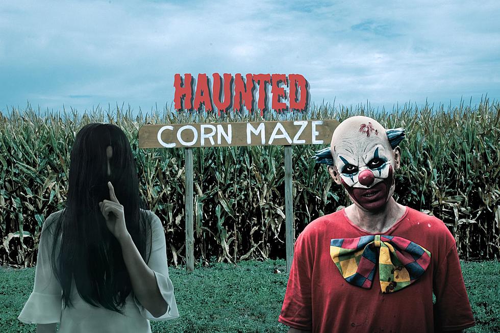 A Haunted Corn Maze is Coming to Warrick County, Indiana