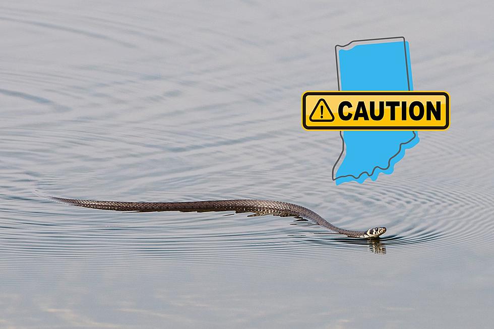 These are the Most Snake-Infested Lakes in Indiana