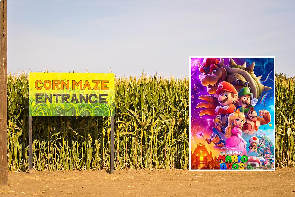 Must See: Super Mario Bros. Corn Maze in Indiana