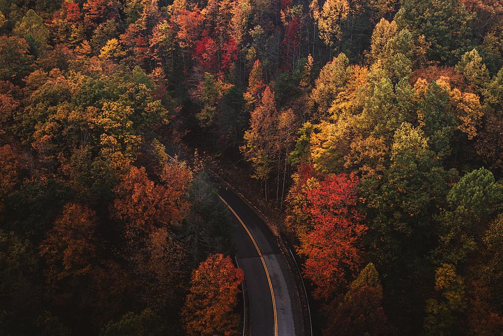 Heading to the Mountains? Here is When the Fall Foliage Will Peak in Tennessee