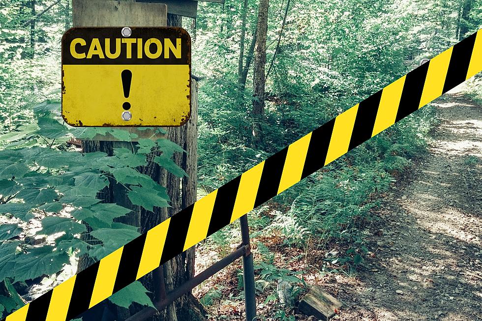 If You Encounter a Yellow Sign in Indiana’s Woods Avoid the Area