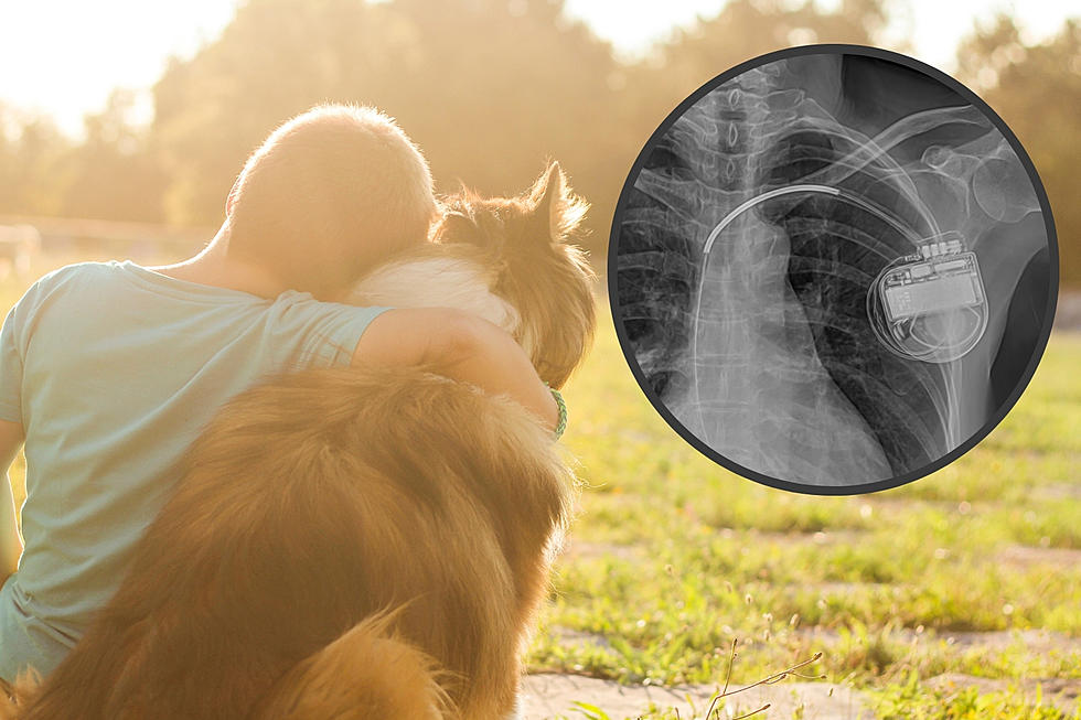 Indiana Rescue Shares a Way You Can Help Dogs with Your Pacemaker