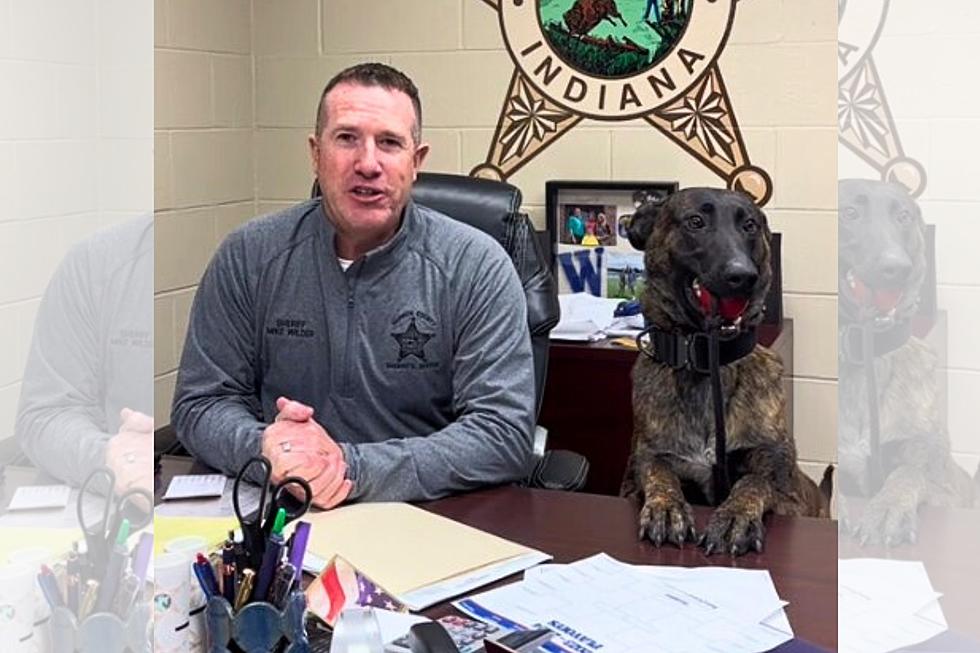 Southern Indiana Sheriff's Office Goes Viral Thanks to Excited K9