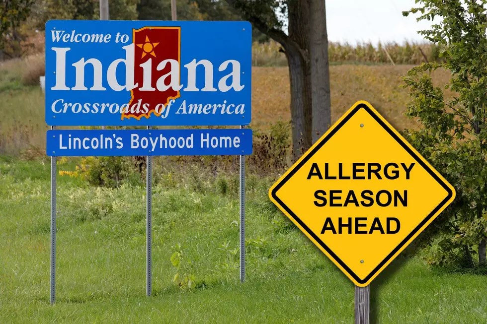 SEASONAL ALLERGY ALERT: This is the Allergy Capital of Indiana