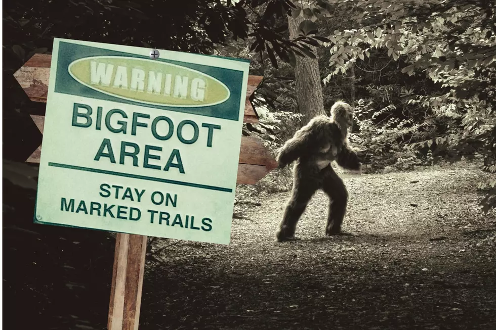 Indiana's Bigfoot Research Organization is Hosting a Conference 