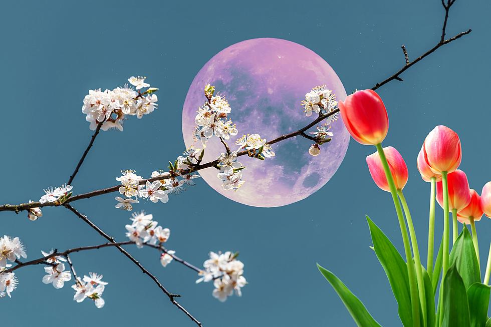 The First Full Moon of Spring Happens This Month!