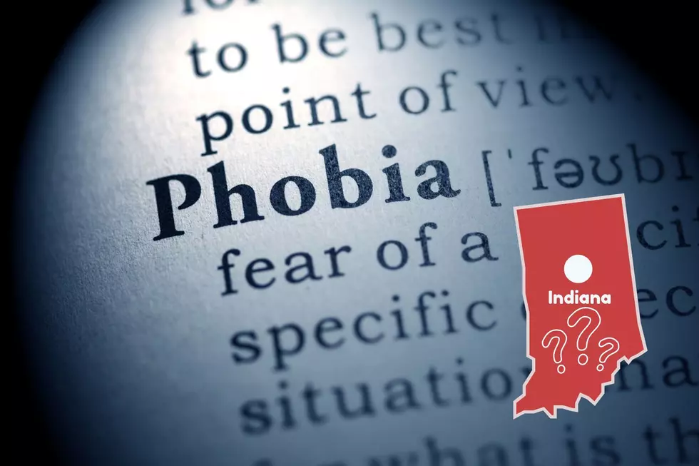 Do You Suffer From the Most Common Phobia in Indiana?