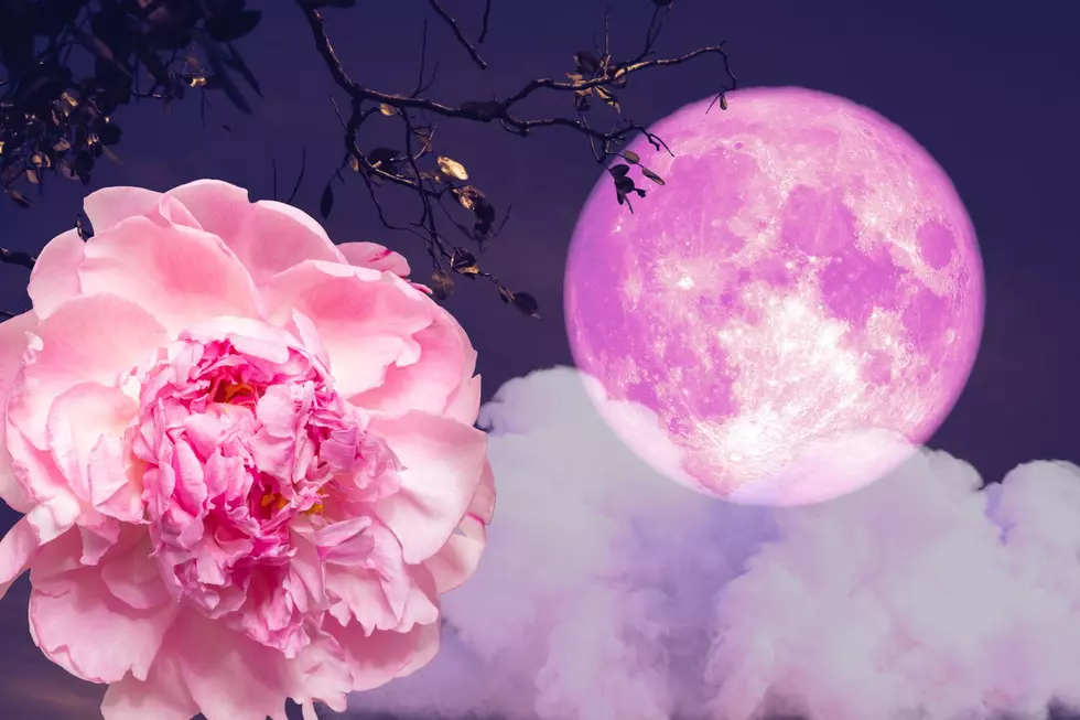 April’s Full Moon is the Pink Moon Here’s When to See it Over Indiana and Kentucky