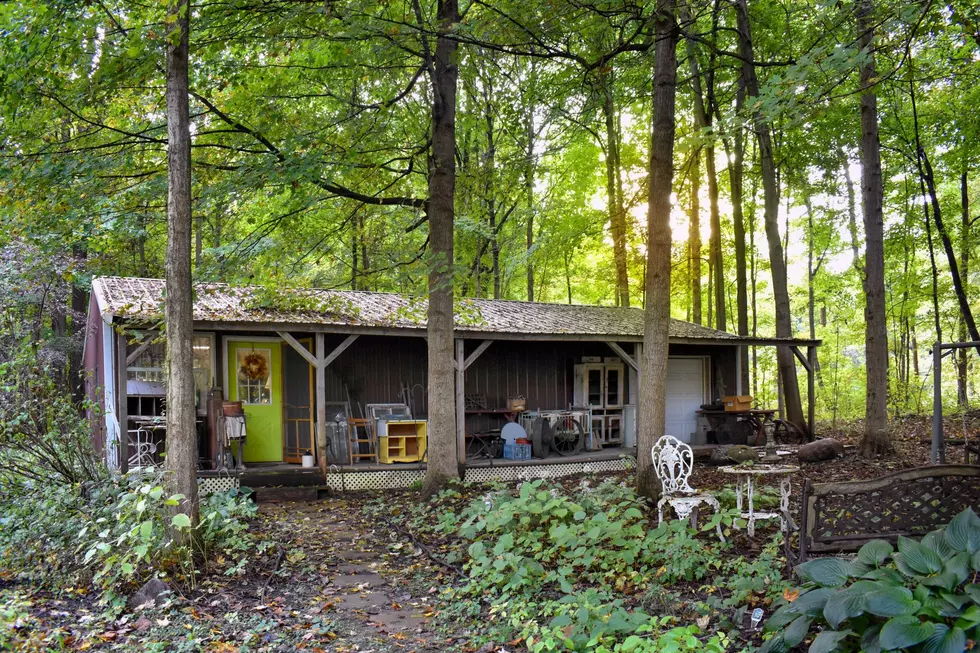 A True Hidden Gem This Indiana Antique Store is Tucked Away in the Woods