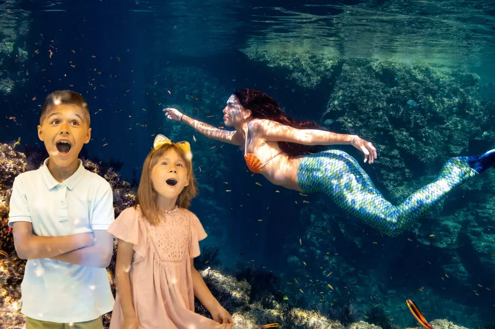 You Can Dine With Mermaids in Nashville, Tennessee