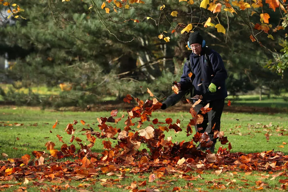 Autumn Colours At Kew Gardens