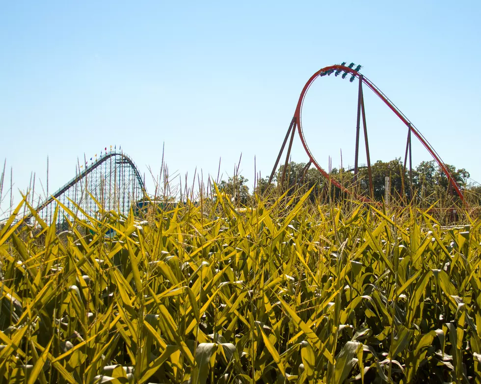 t Holiday World & Splashin' Safari