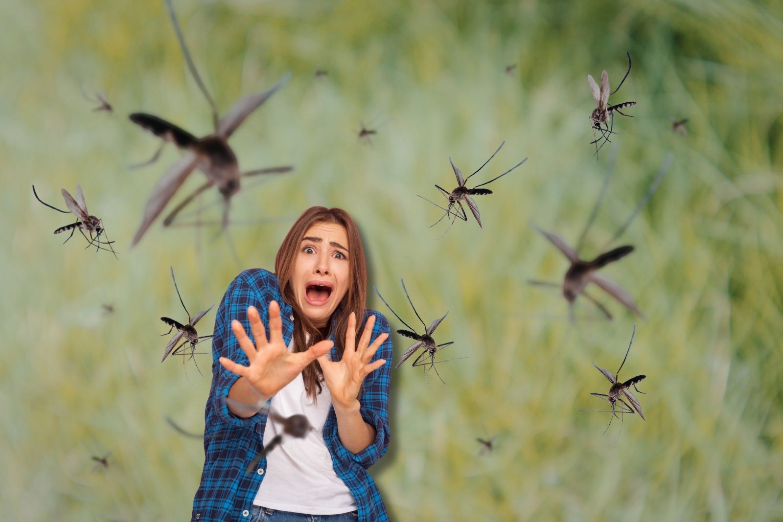 What You Eat May Be Attracting Indiana Mosquitoes