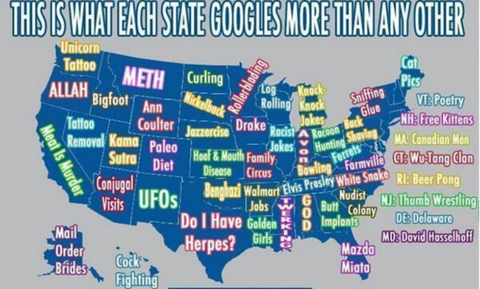 See What Your State Googles Most