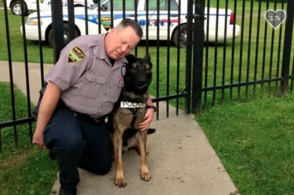 Retired officer not allowed to keep K9 companion