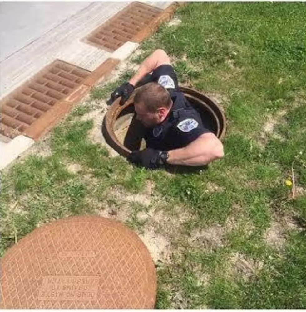 Muscatine Police Officer Rescues Ducklings In Drain