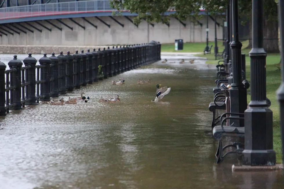 SLIDESHOW: Flood of 2016 Affects LeClaire Park