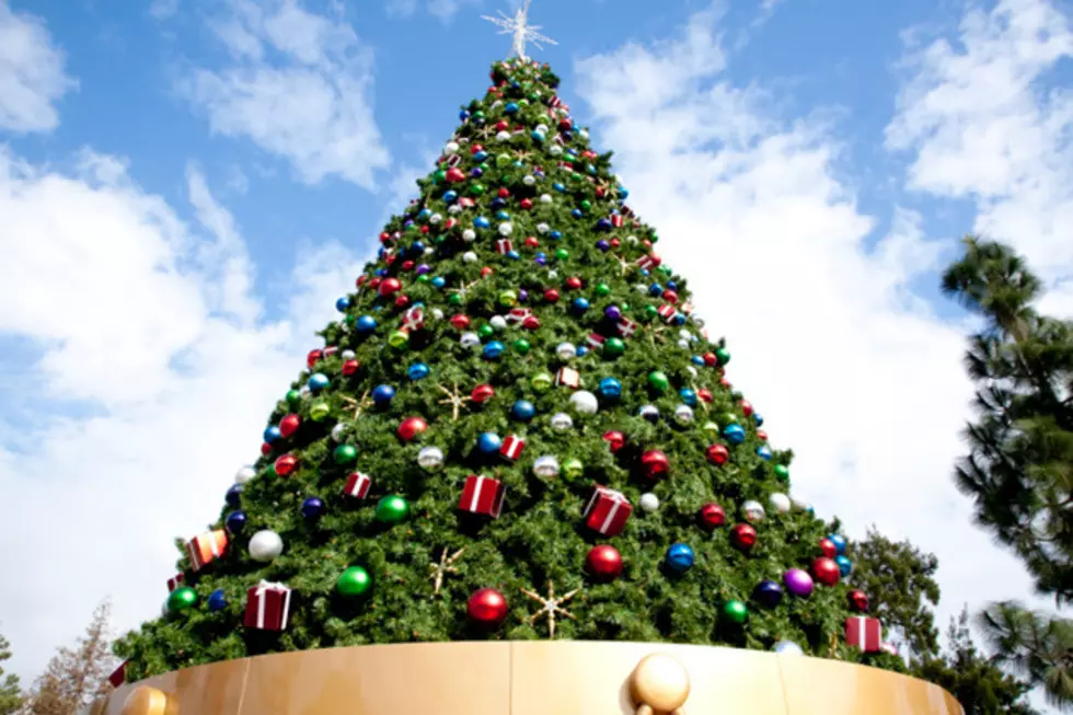 Quad City Landmark Puts up Christmas Tree This Week