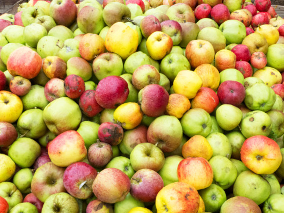 October Is National Apple Month