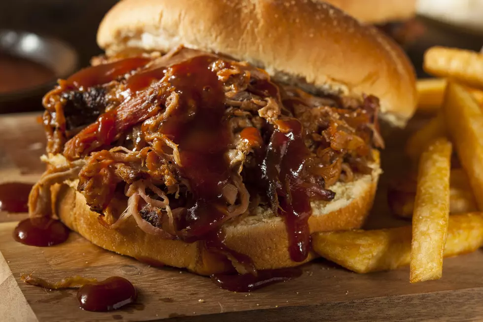 Close up of barbecue pulled park sandwich and French fries