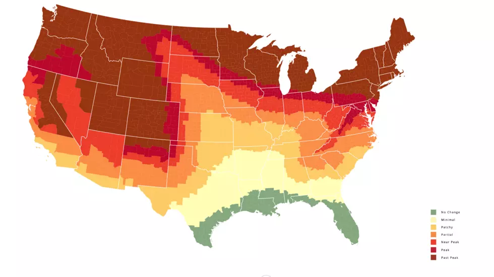 Here are the Peak Fall Foliage Times for the Quad City Area