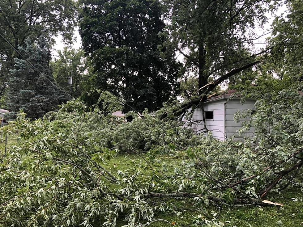 What To Do With Tree Debris From The Derecho