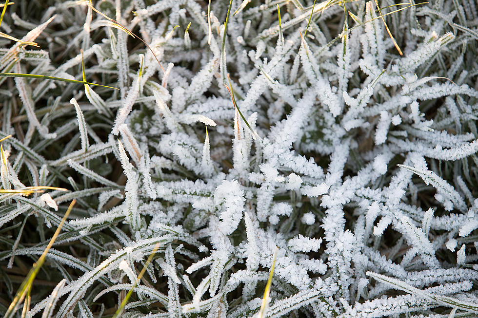 Frost Advisory Issued Tonight For The Quad Cities